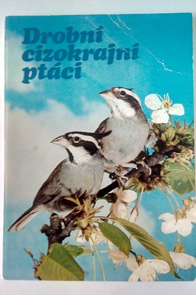 pohlednice Drobní cizokrajní ptáci