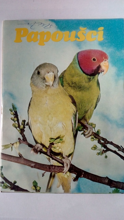 pohlednice Papoušci
