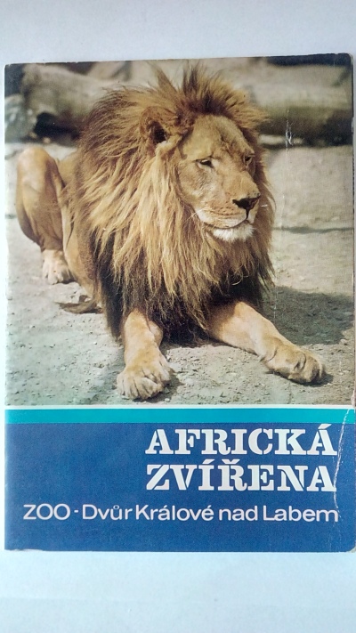 pohlednice Africká zvířata