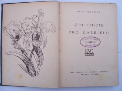 Orchideje pro Gabrielu