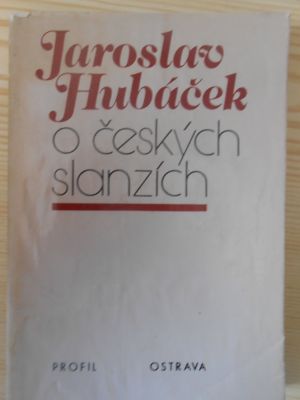 O českých slanzích