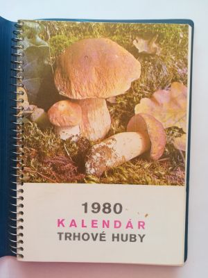 1980 Kalendár trhové houby