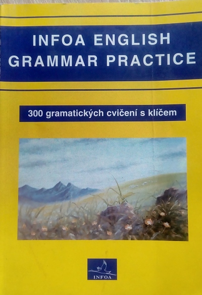 Infoa english grammar practice