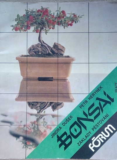 Bonsai – základy pěstování