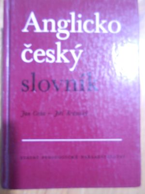 Angličko-český slovník