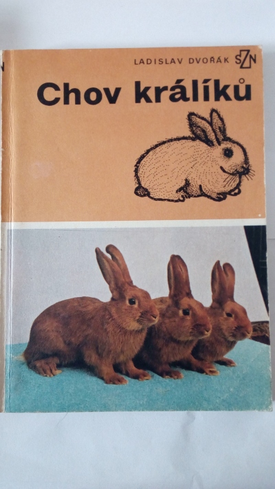 Chov králíků