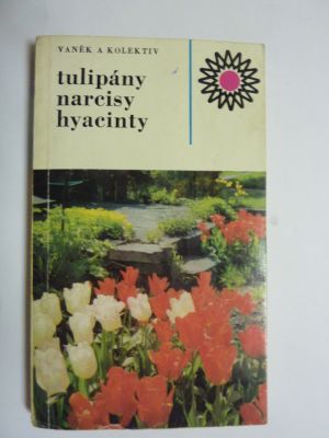 Tulipány, narcisy, hyacinty