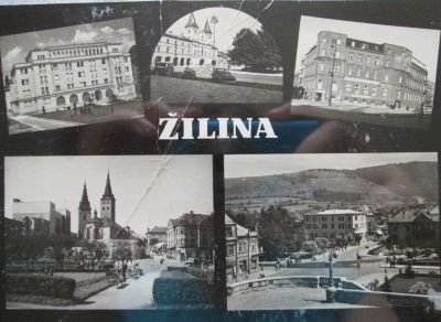 Žilina
