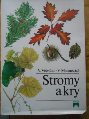 Rostliny a bezobratlí