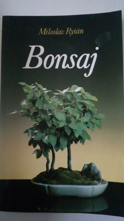 Bonsaj