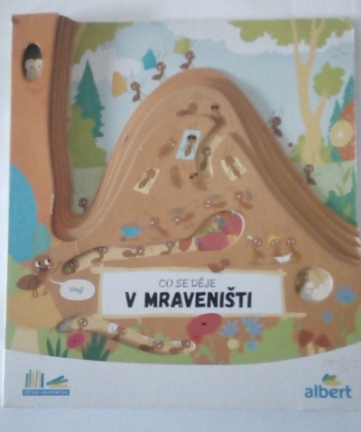 Co se děje v mraveništi