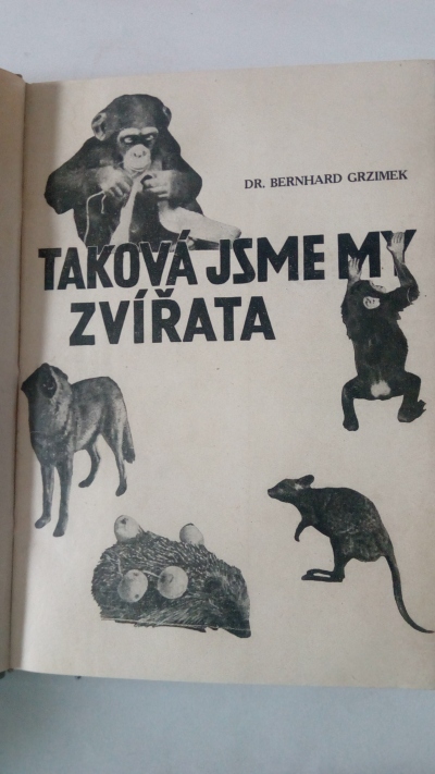 Taková jsme my zvířata