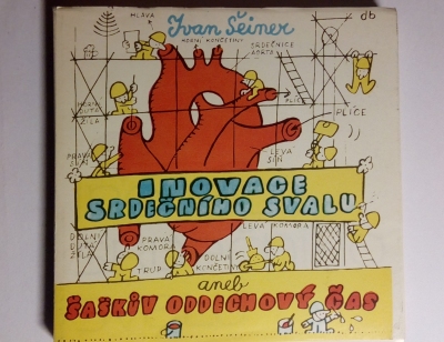 Inovace srdečního svalu aneb šaškův oddechový čas