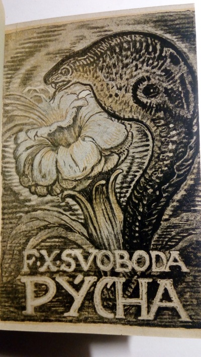 Pýcha