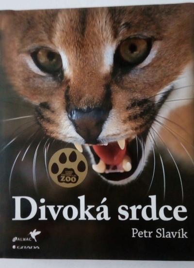 Divoká srdce