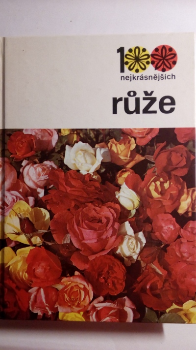 Růže