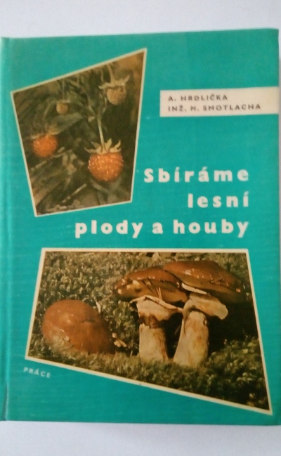Sbíráme lesní plody a houby