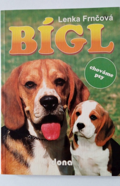 Bígl