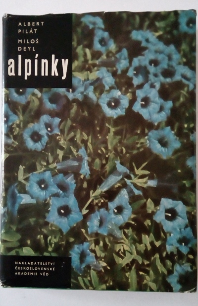 Alpínky