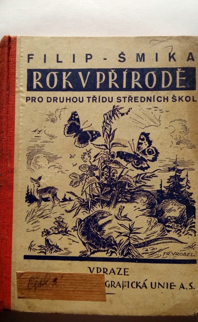 Rok v přírodě