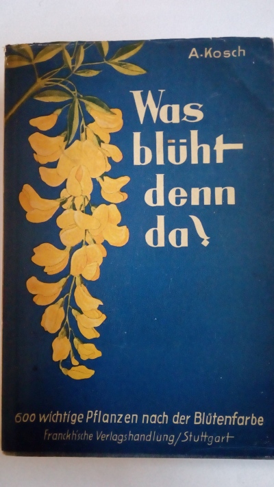 Was blüht dem da?