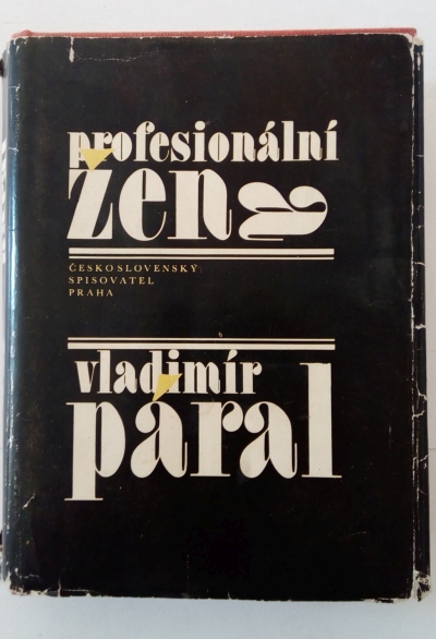 Profesionální žena