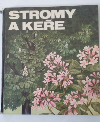 Stromy a keře