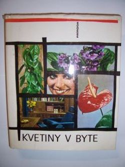 Kvetiny v byte