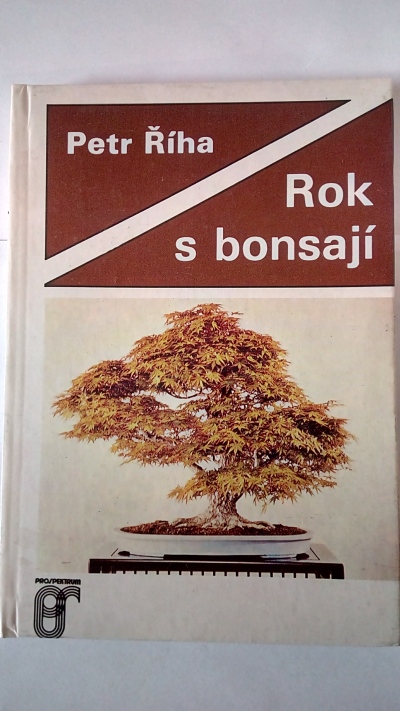 Rok s bonsají