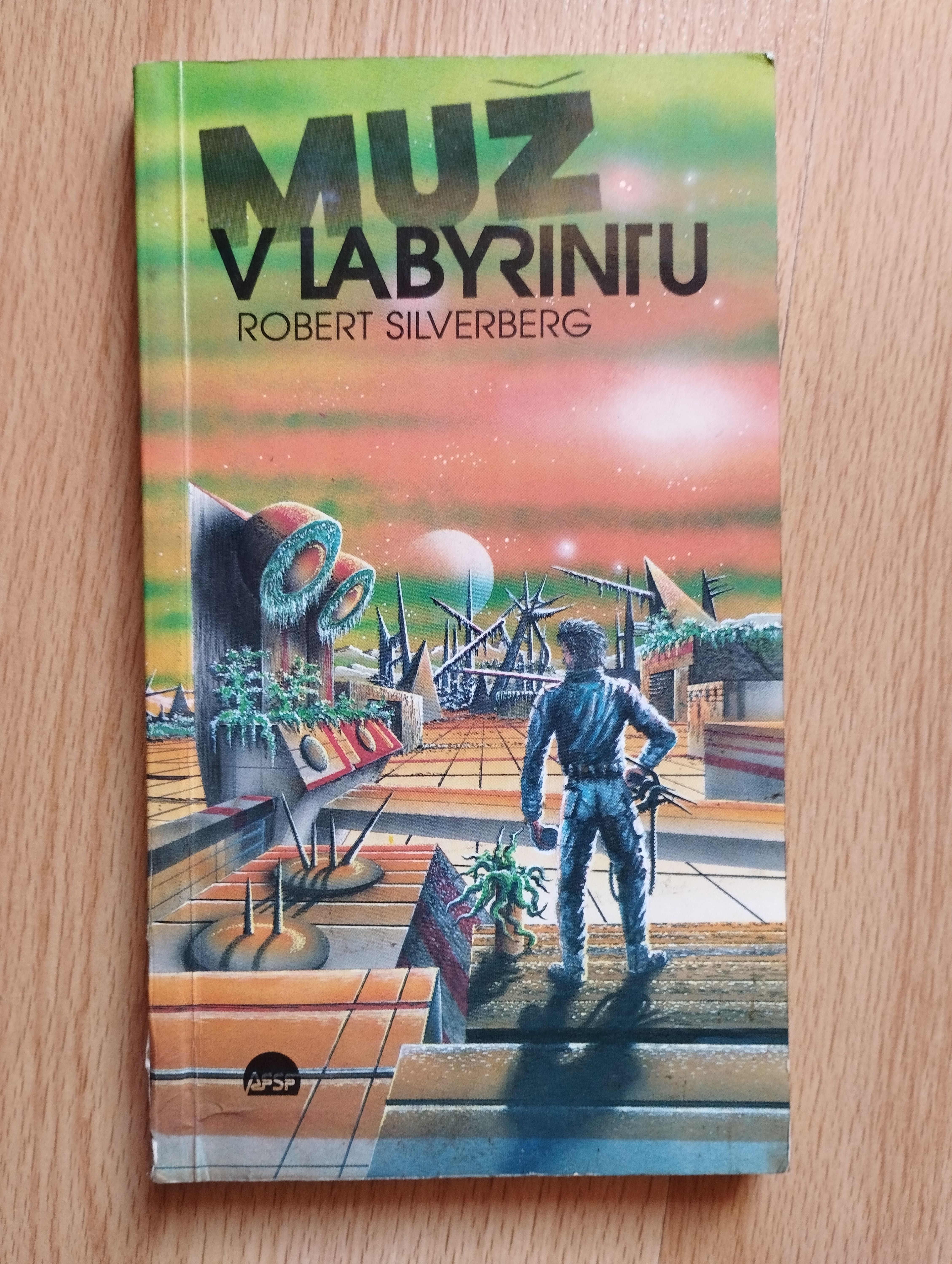 Muž v labyrintu
