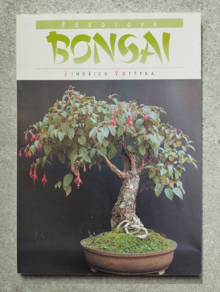 Pokojová bonsai