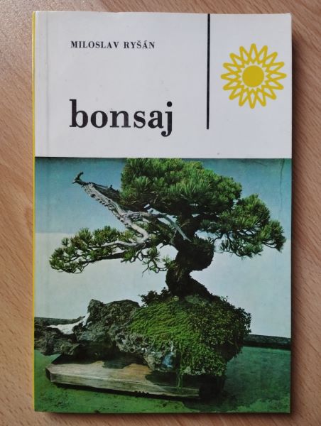 Bonsaj