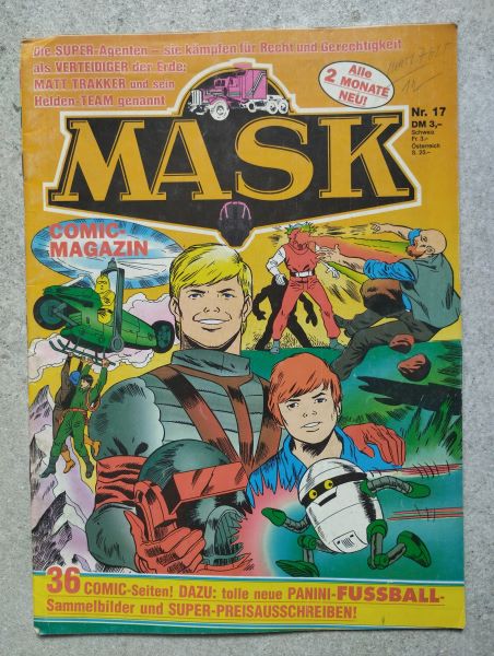 Mask Nr.17