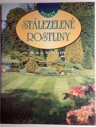 Stálezelené rostliny