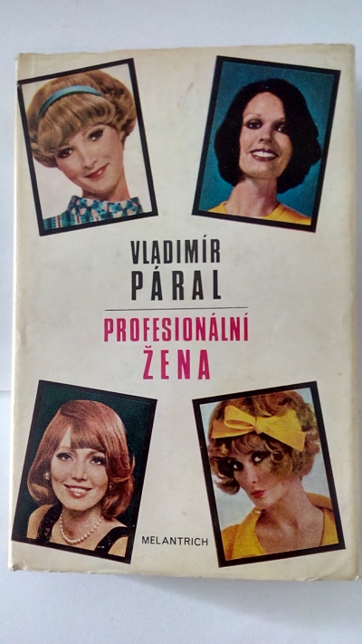 Profesionální žena