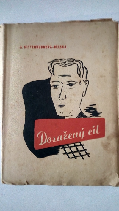 Dosažený cíl