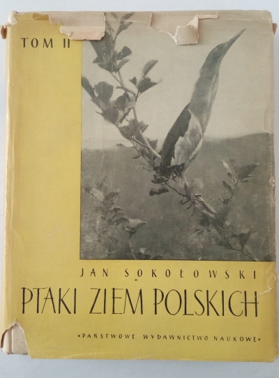 Ptaki ziem polskich