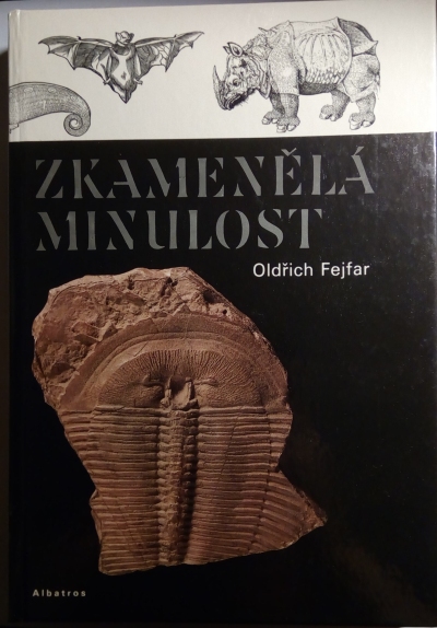Zkamenělá minulost