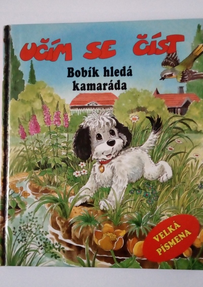 Bobík hledá kamaráda