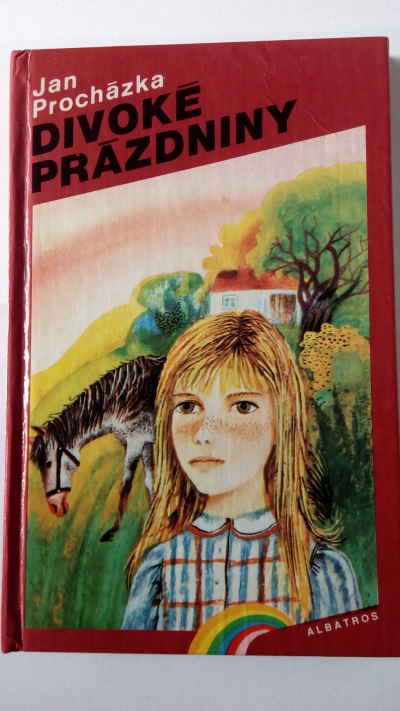 Divoké prázdniny