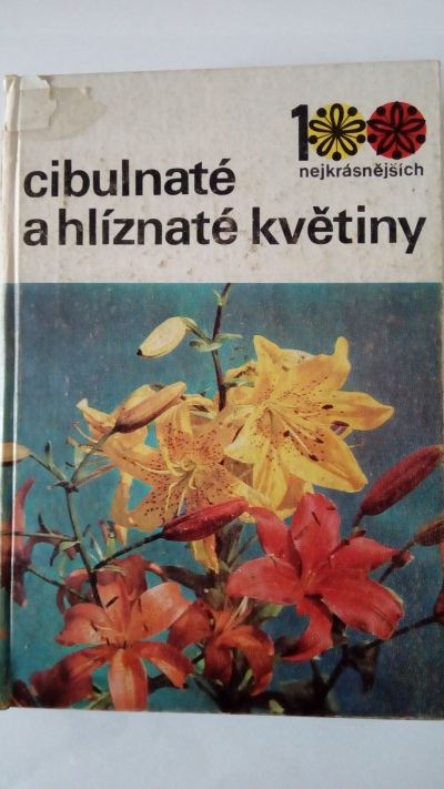 100 nejkrásnějších – Letničky a dvouletky