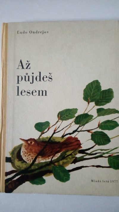 Až půjdeš lesem