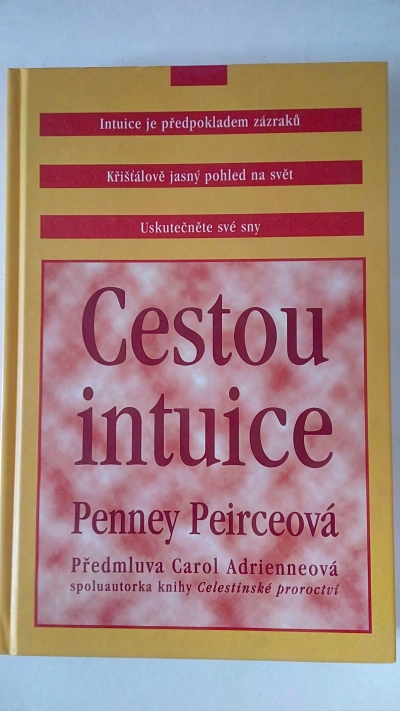Cestou intuice