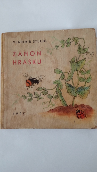 Záhon hrášku