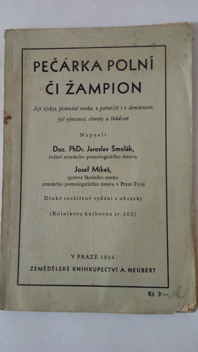 Pečárka polní či žampion