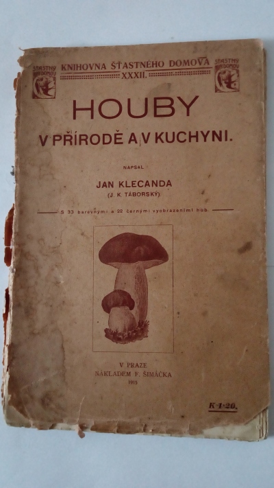 Houby v přírodě a v kuchyni
