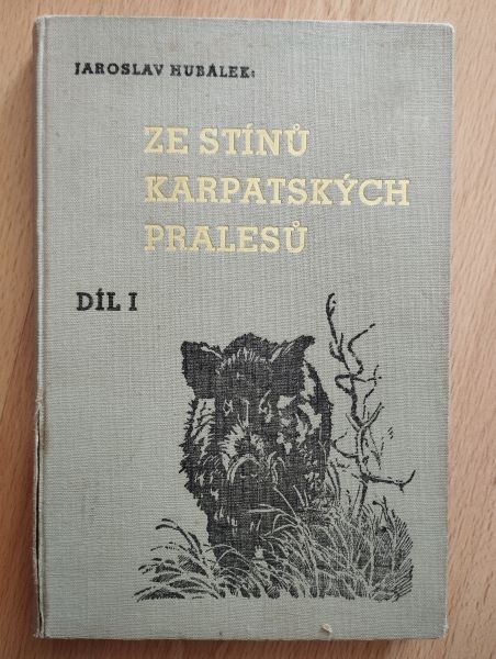 Ze stínů karpatských pralesů