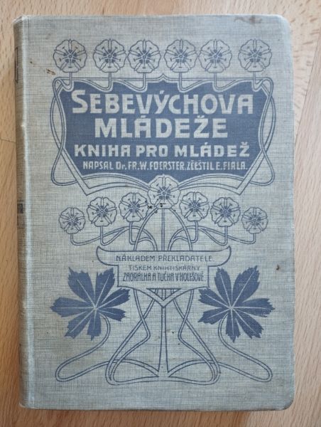 Sebevýchova mládeže
