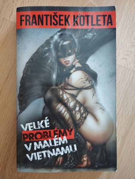 Velké problémy v malém Vietnamu