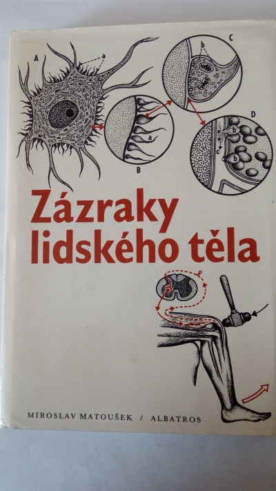 Zázraky lidského těla